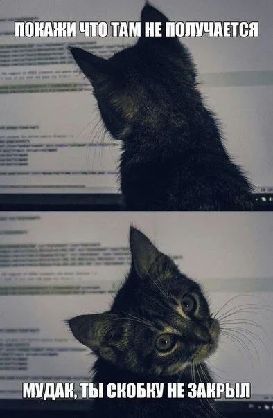 Кот нашёл незакрытую скобку