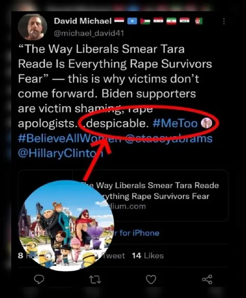 Despicable Rape Apologists Tweet