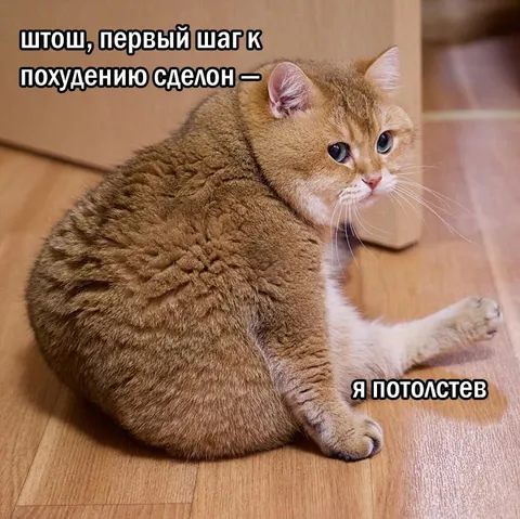 Первый шаг к похудению