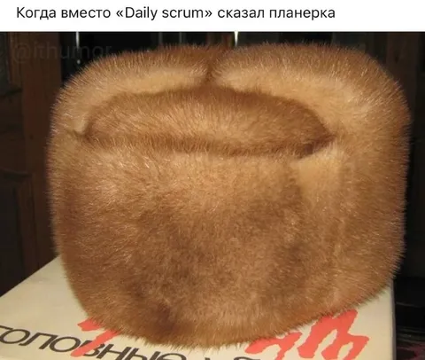 Вместо Daily scrum сказал планерка