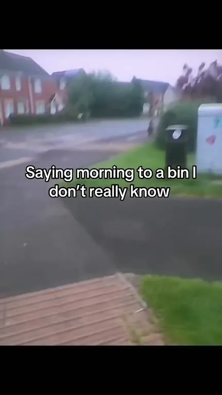 Saying Morning to a Bin