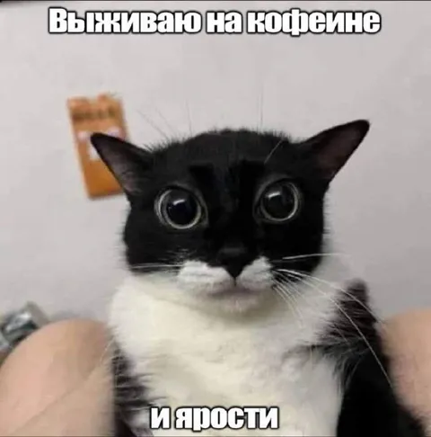 Выживаю на кофеине и ярости