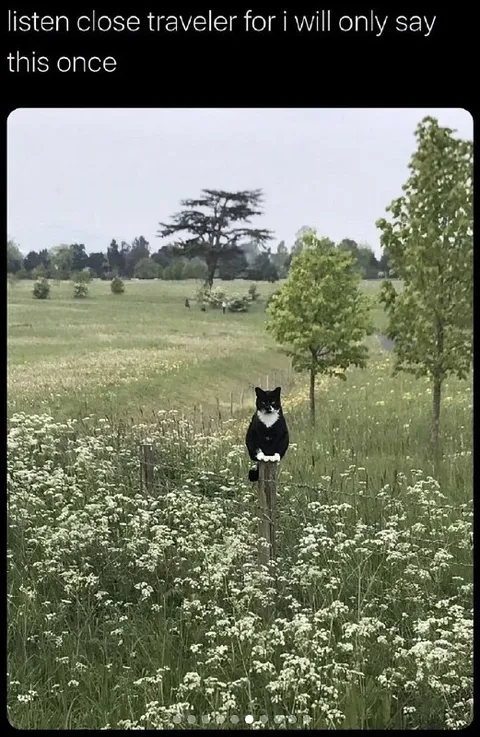 Listen Closely, Traveler