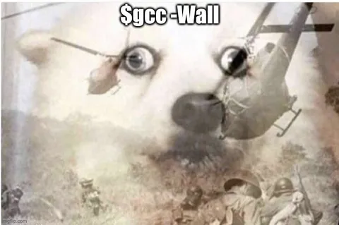 $gcc-Wall Dog Invasion