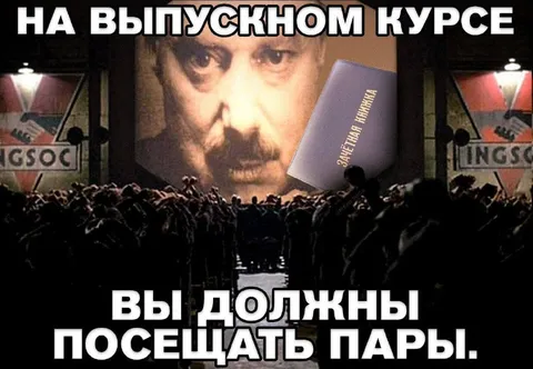 На выпускном курсе посещают пары