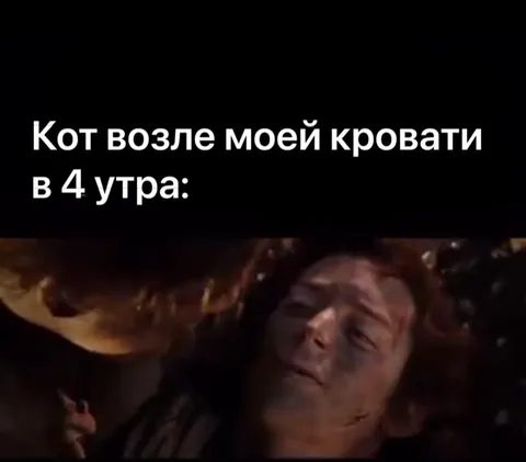 Кот у кровати в четыре утра
