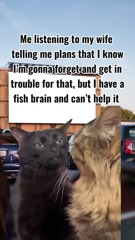 Fish Brain Listening to His Wife