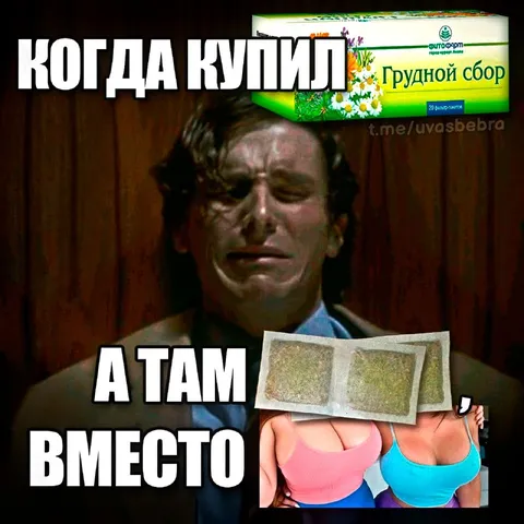 Когда купил грудной сбор