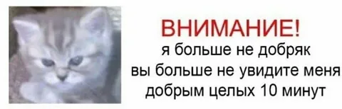 Кот больше не добряк