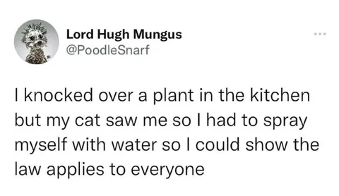 Cat Enforces Equal Treatment