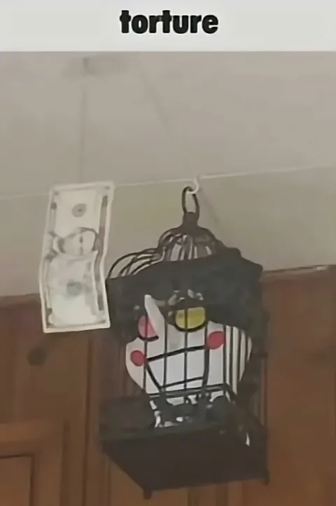 Torture by Hanging Money