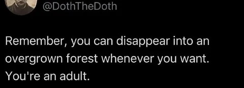 Disappear Into the Forest