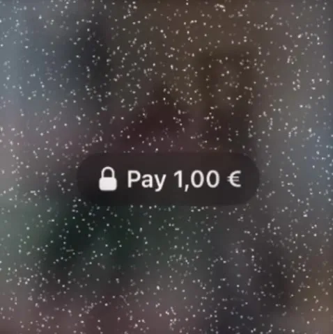 Pay One Euro Button