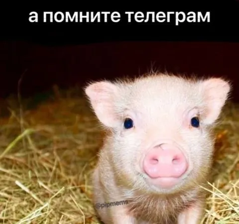 А помните телеграм