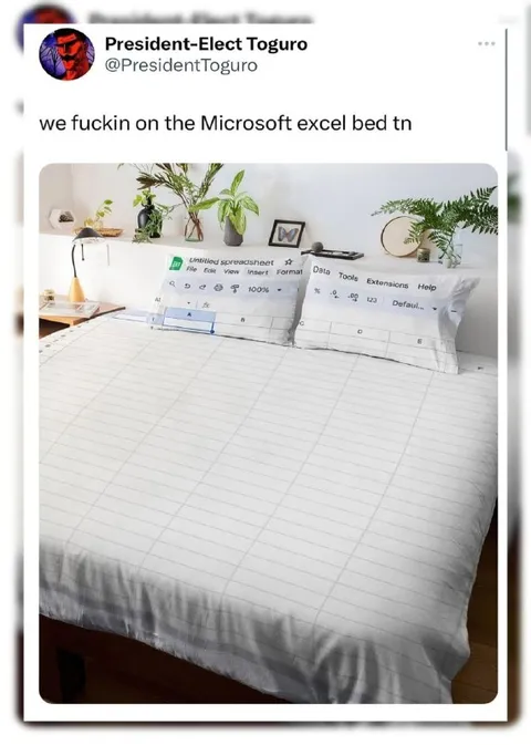 Microsoft Excel Bed Tonight