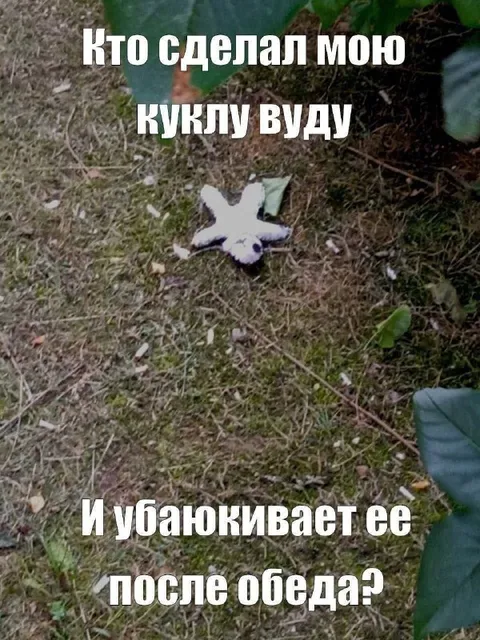 Кукла Вуду после обеда