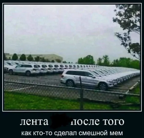Лента после смешного мема
