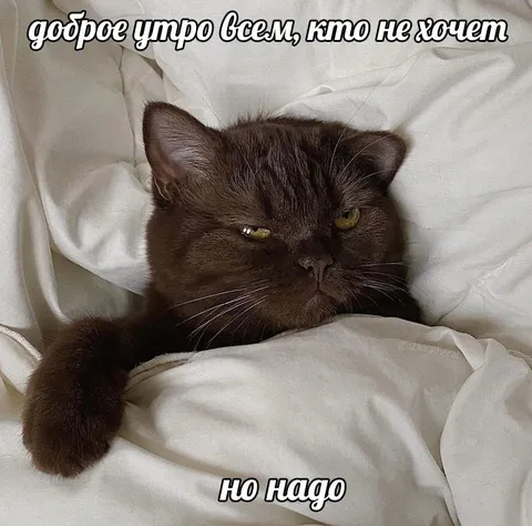 Доброе утро, но надо