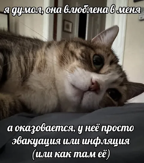 Кошка с эвакуацией или инфляцией