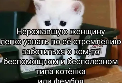 Стремление заботиться о беспомощных