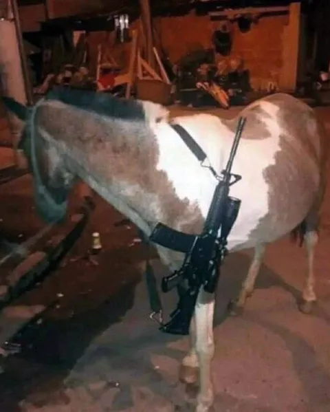 Лошадь с автоматом
