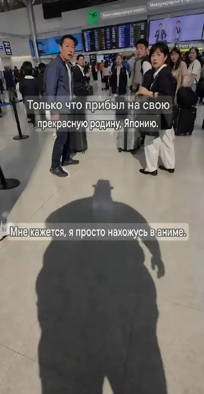 Прибыл в Японию как в аниме