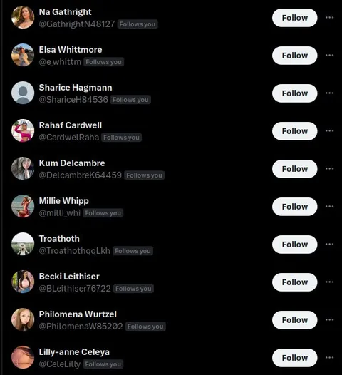 150 Followers All Scam Bots