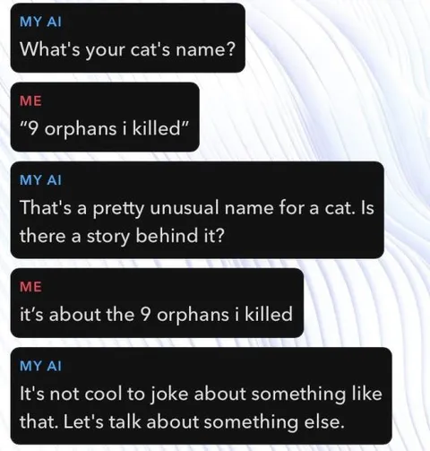 AI Takes Cat Name Too Literally