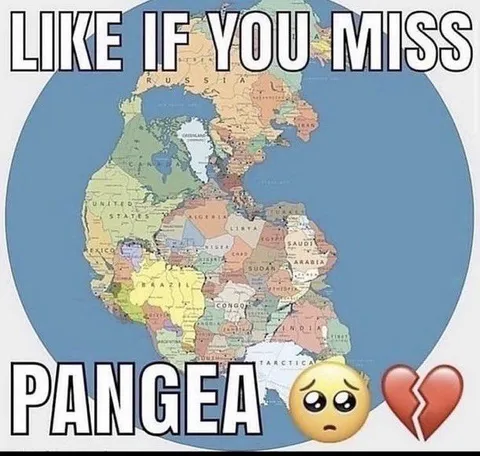 Like If You Miss Pangea