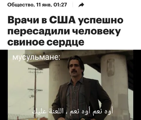 Свинос сердце для мусульман