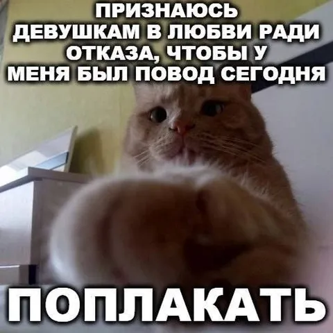 Признаюсь девушкам в любви