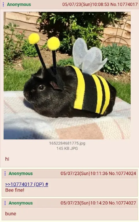 Bee Fine Bunny Reply