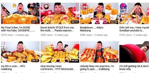 Nikocado Avocado Quits YouTube