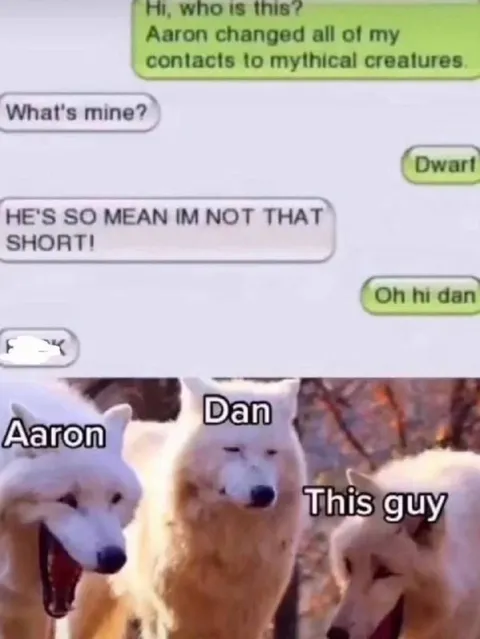 Not That Short, Dwarf