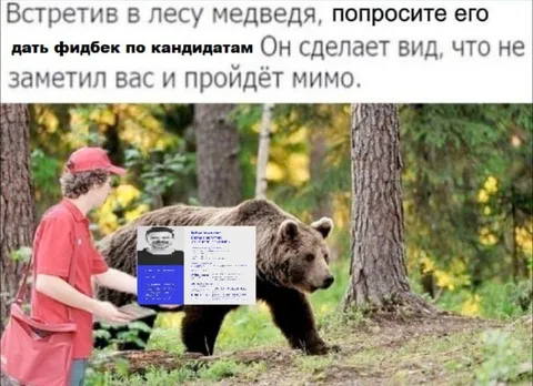 Медведь даст фидбек по кандидатам
