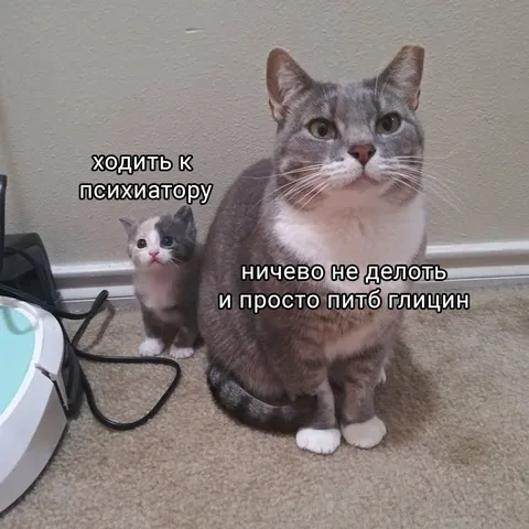 Кот у психиатра ради глицина