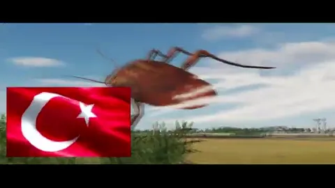 Yunanistan hava kuvvetleri