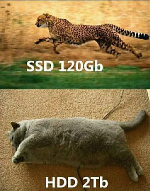 SSD Speed vs HDD Capacity