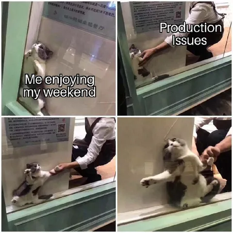 Cat Enjoying the Weekend