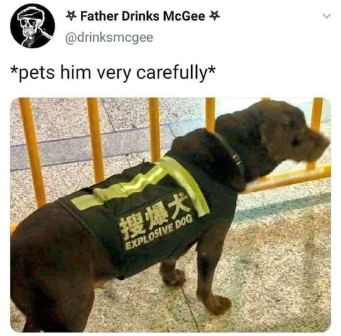 Explosive Dog Petting Carefully