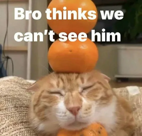 Bro Thinks We Can't See Him