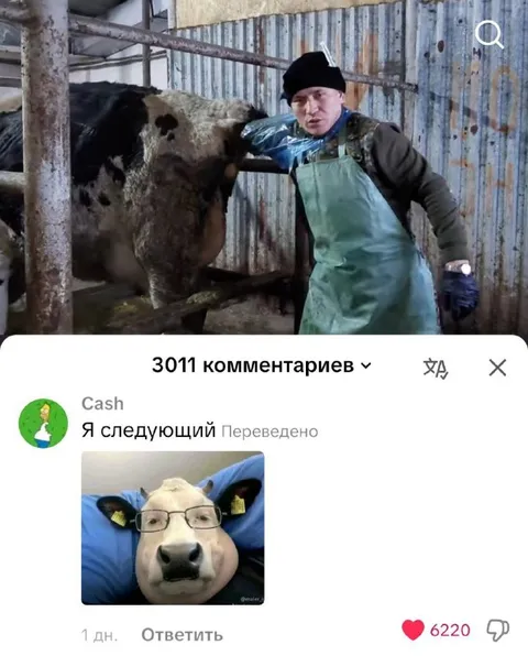 Я следующий на ферме