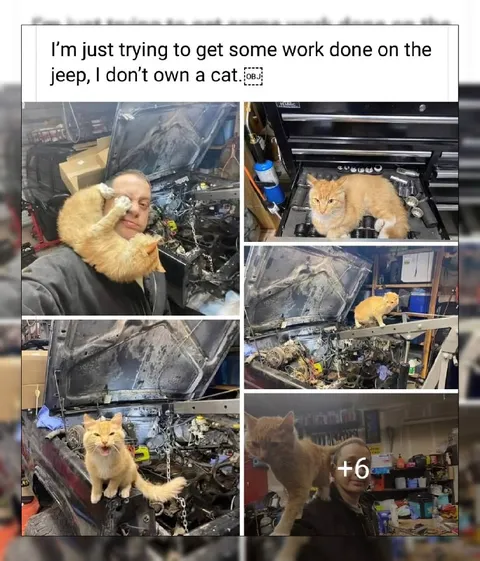 Trying to Work on the Jeep