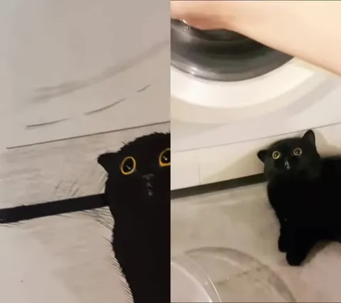 Кот из рисунка оживает
