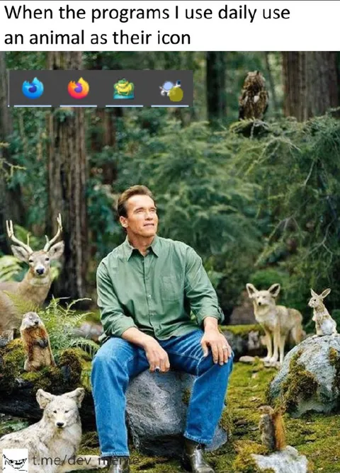 Programs Use Animal Icons