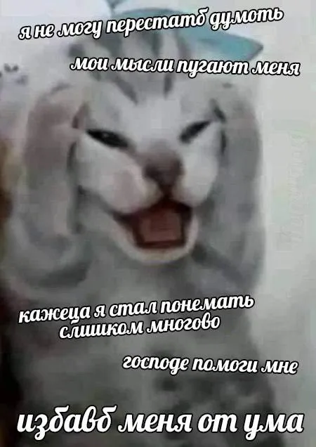 Мысли пугают меня