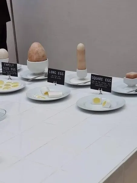 Eggs in Every Shape