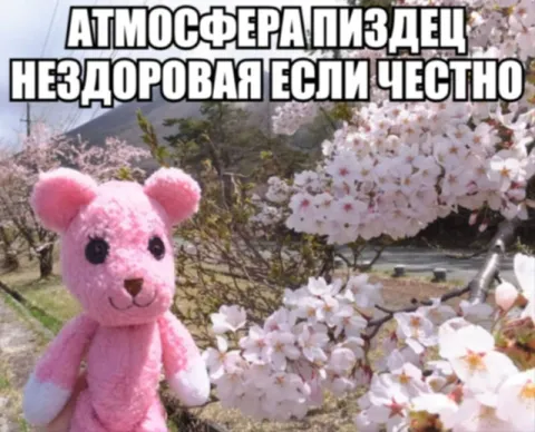 Атмосфера пиздец нездоровая