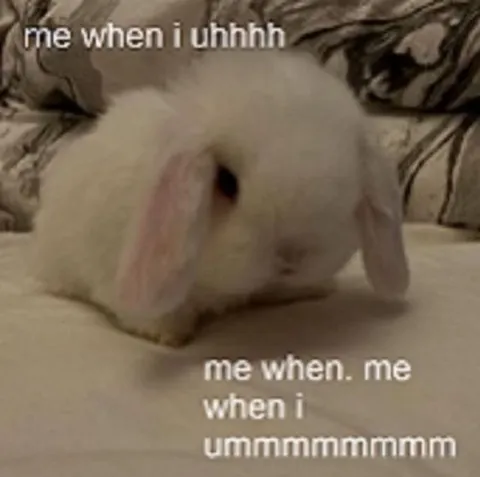Rabbit When I Uhhhh