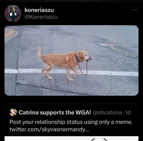 Dog Walking Itself